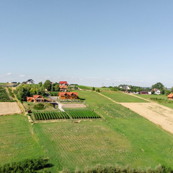 DJI_0732