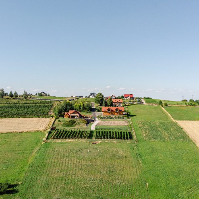 DJI_0733