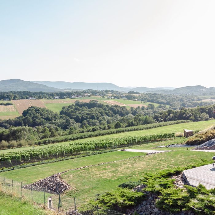 DJI_0765-Poprawione-Szum