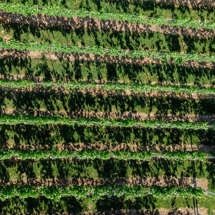 DJI_0792