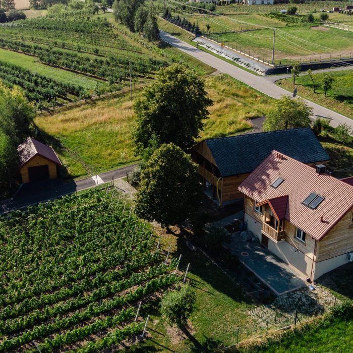 DJI_0798
